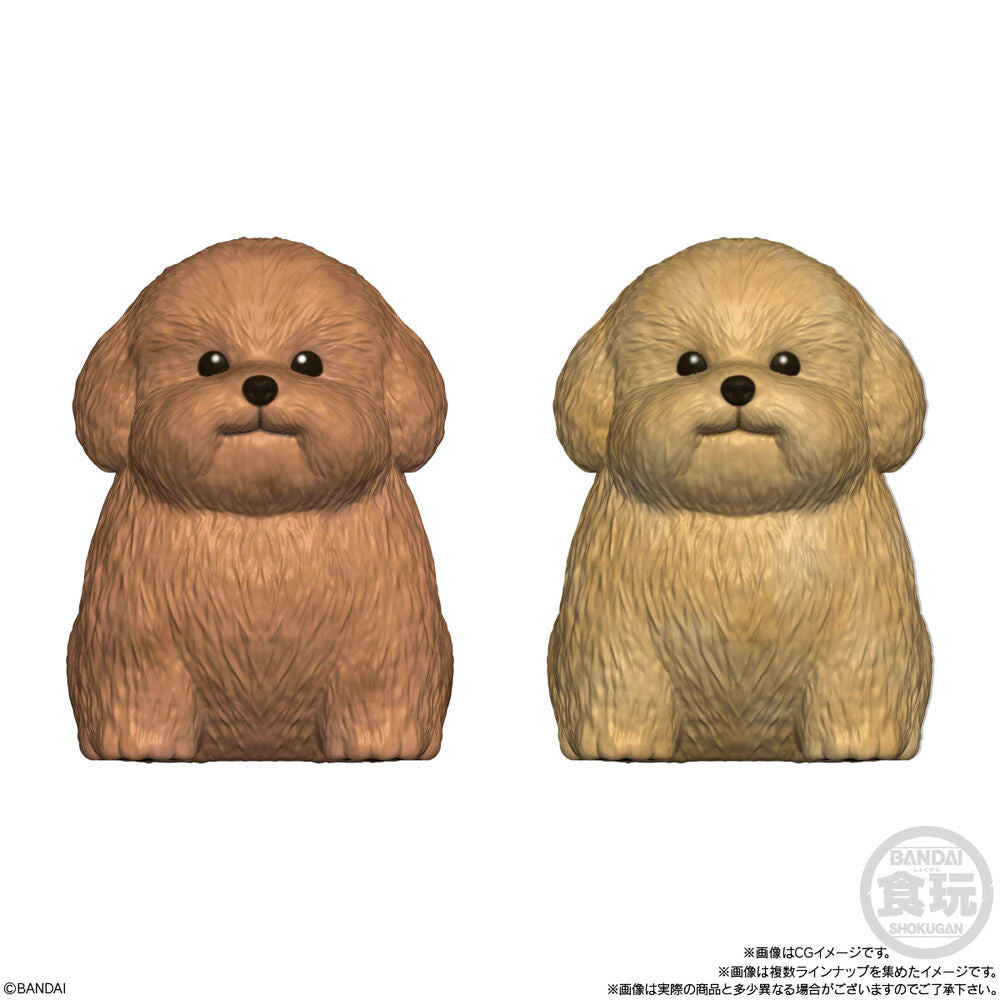 Figurines assorties de chiens Mocchiri Kororin