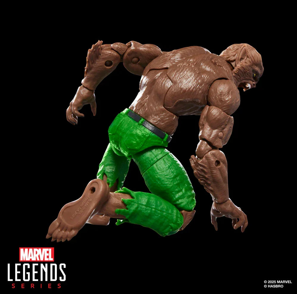 Figurine Loup-garou de la nuit de la série Marvel Legends, 15 cm