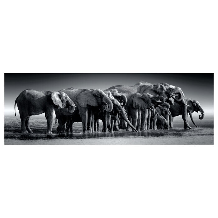 Herd of Giants Panorama puzzle 1000pcs