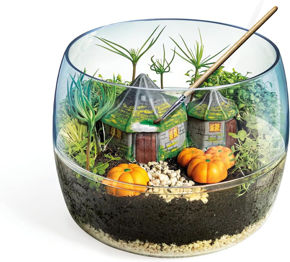 Harry Potter Terrarium