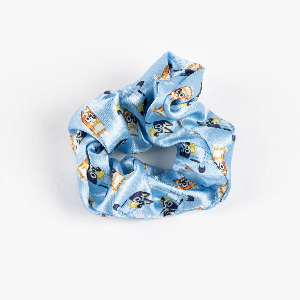 Bluey Beauty set