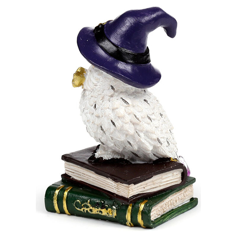Wise Magic Owl assorted figure