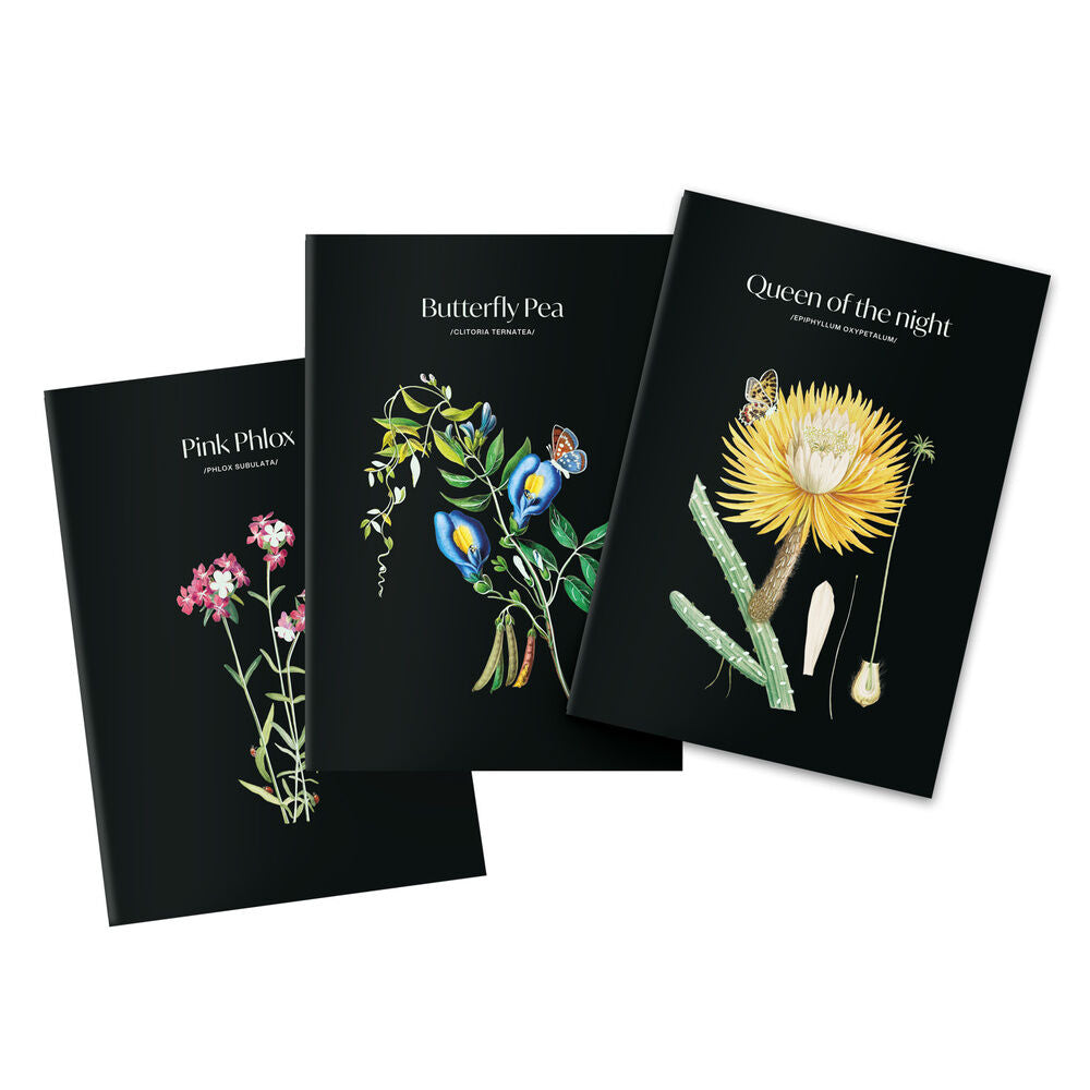 Sleepless Garden pack of 3 A5 notebooks