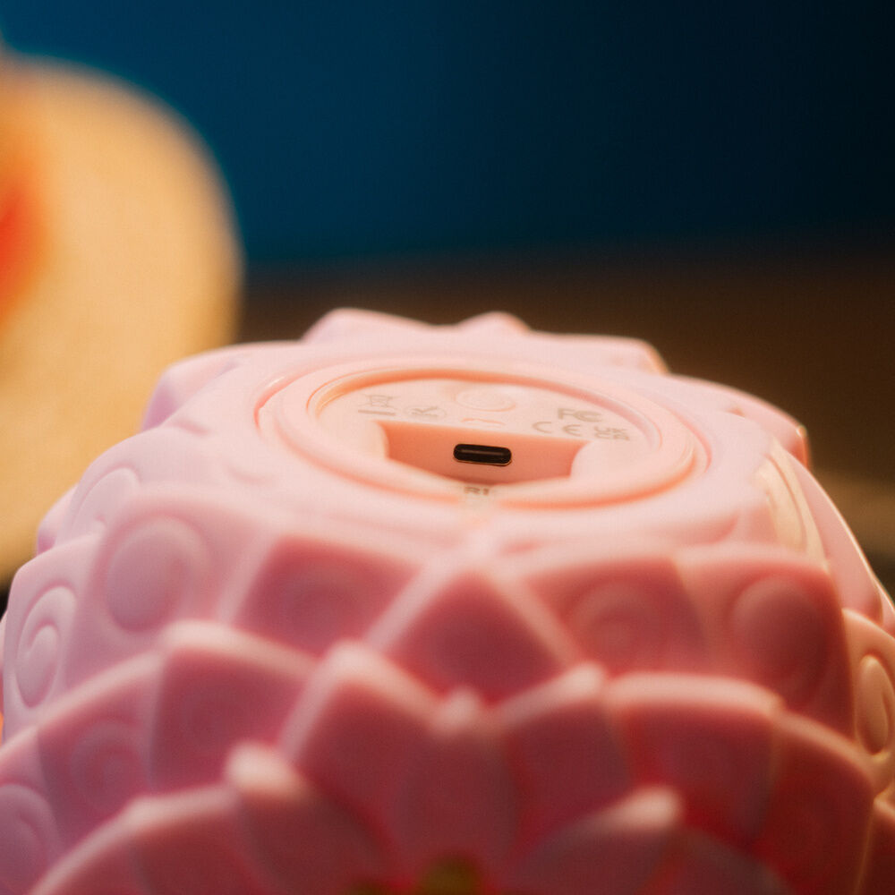 One Piece Flower-Flower Fruit lamp