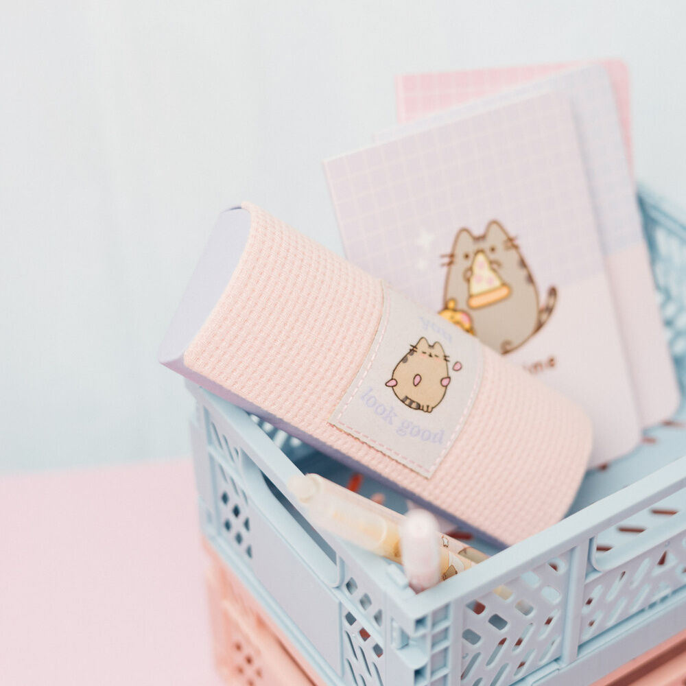 Pusheen glasses case