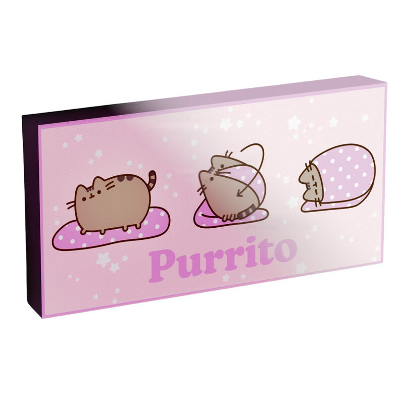 Pusheen light up canvas