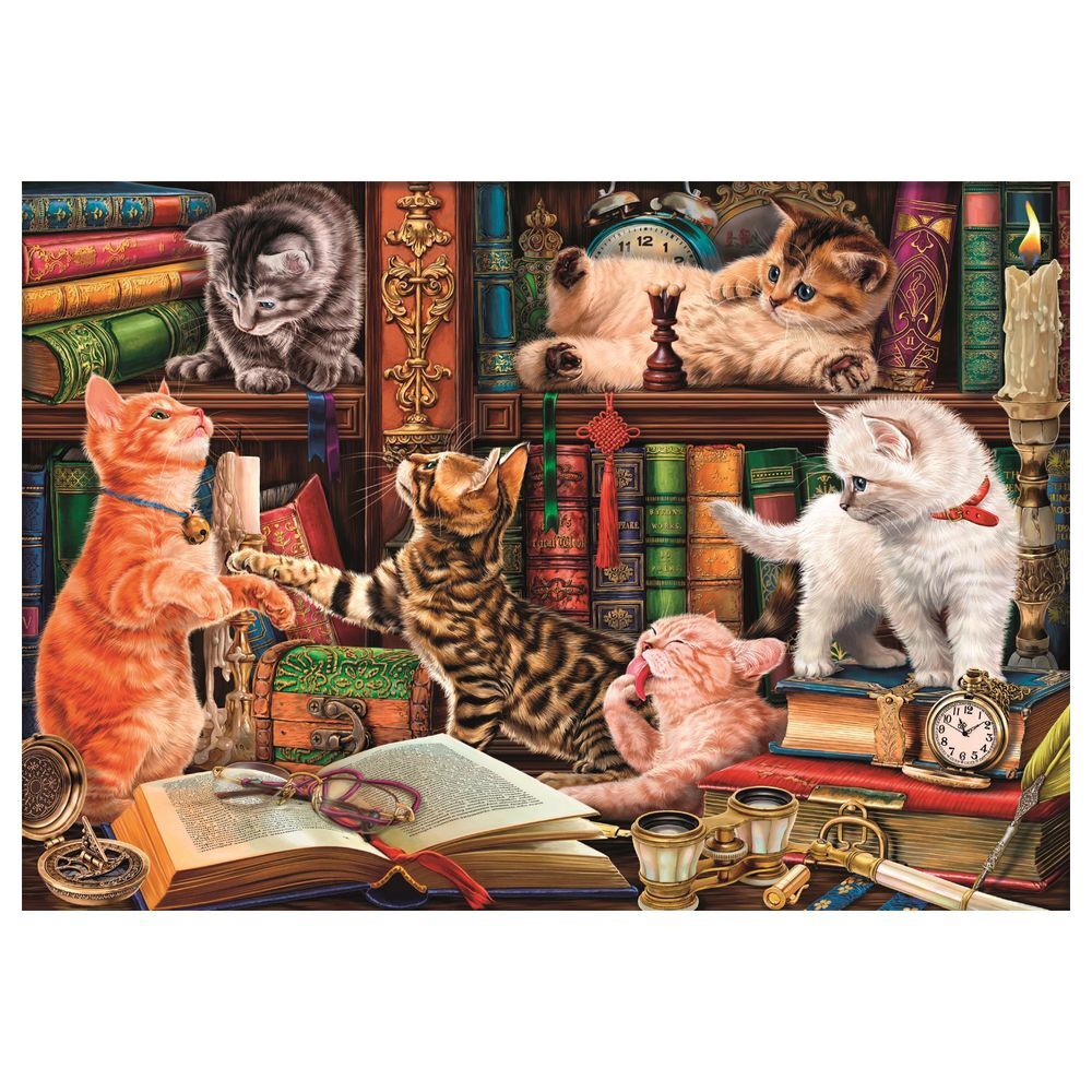 Curious Whiskers puzzle 1000pcs