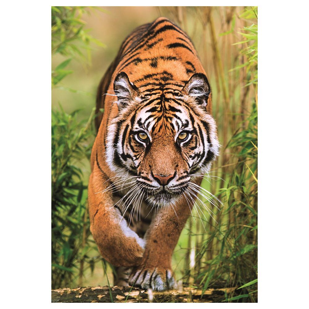 The Hunter'S Path puzzle 1000pcs