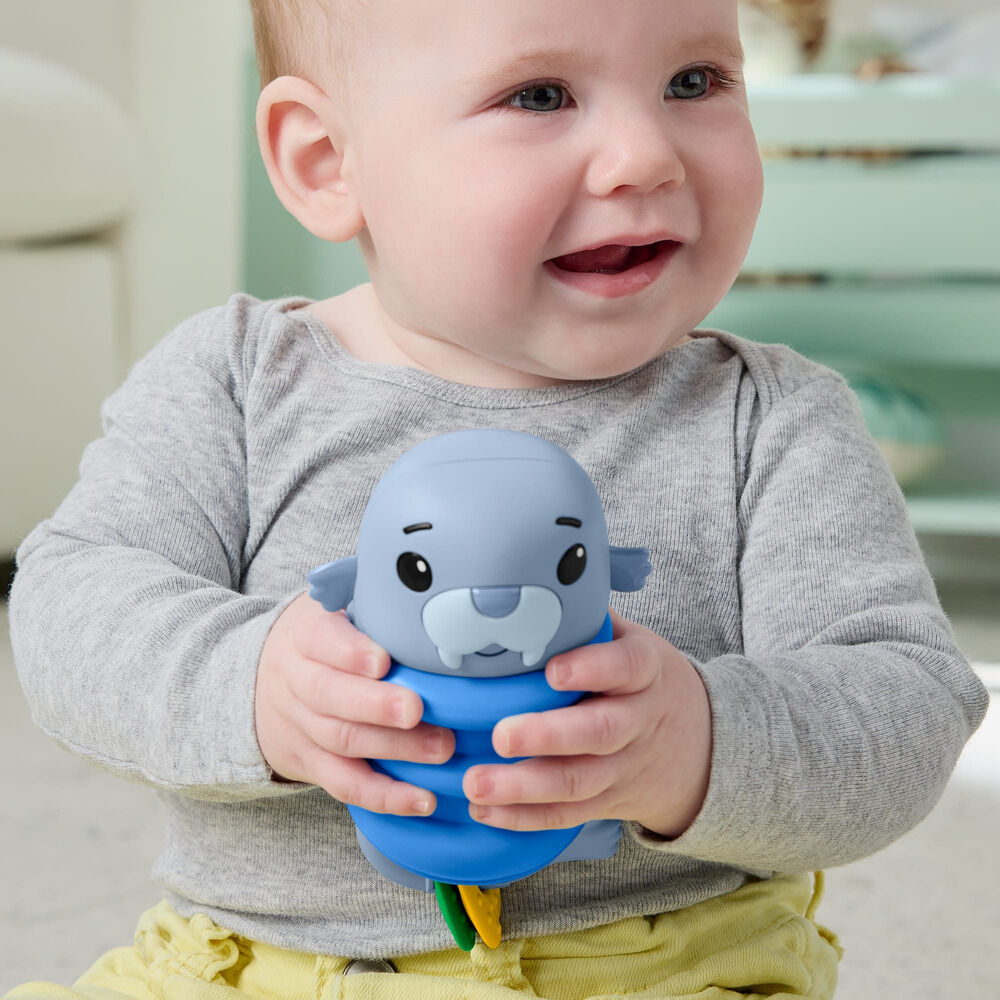 Squisheas assorted silicone rattle