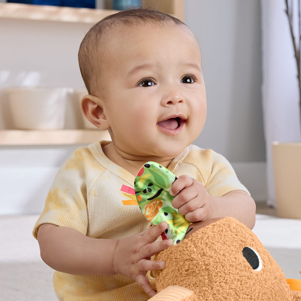 Snuggly Snacky Capy plush toy