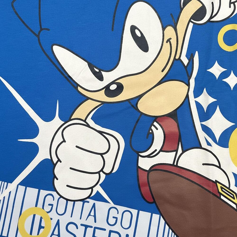 Sonic the Hedgehog outfit